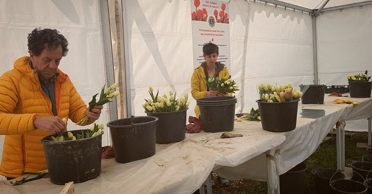 actu 2023 04 5 bivouacetmoi operation tulipes contre le cancer 2