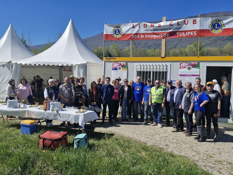 actu 2026 04 07 lions tulipes