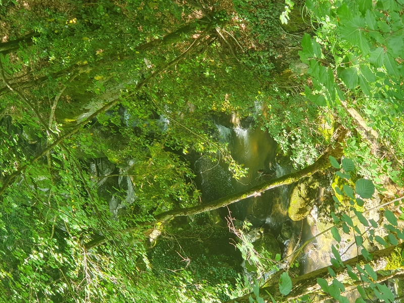 gallery randonnee asso 2023 06 17 011