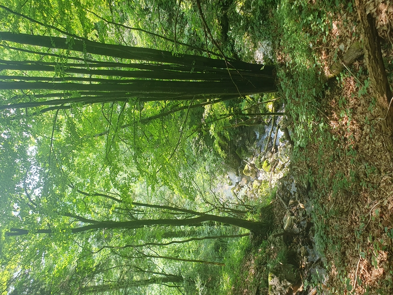 gallery randonnee asso 2023 06 17 013