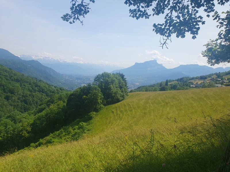 gallery randonnee asso 2023 06 17 018