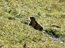 bem_sejour_2026_09_11__059